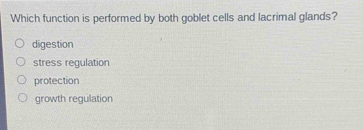 which function is performed by both goblet cells and lacrimal glands?\ndigestion\nstress regulation\nprotection\ngrowth regulation