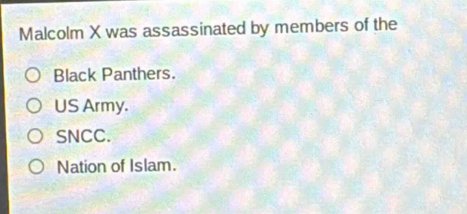 malcolm x was assassinated by members of the\nblack panthers.\nus army.\nsncc.\nnation of islam.