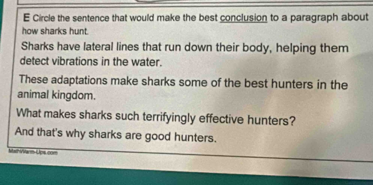 e circle the sentence that would make the best conclusion to a paragraph about how sharks hunt. sharks have lateral lines that run down their body, helping them detect vibrations in the water. these adaptations make sharks some of the best hunters in the animal kingdom. what makes sharks such terrifyingly effective hunters? and that’s why sharks are good hunters.