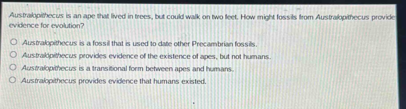 australopithecus is an ape that lived in trees, but could walk on two feet. how might fossils from australopithecus provide evidence for evolution?\no australopithecus is a fossil that is used to date other precambrian fossils.\no australopithecus provides evidence of the existence of apes, but not humans.\no australopithecus is a transitional form between apes and humans.\no australopithecus provides evidence that humans existed.