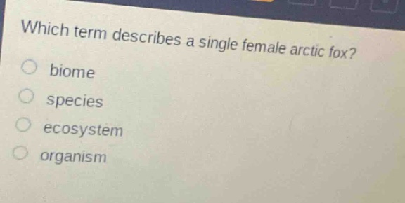 which term describes a single female arctic fox?\nbiome\nspecies\necosystem\norganism
