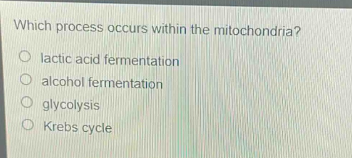 which process occurs within the mitochondria?\no lactic acid fermentation\no alcohol fermentation\no glycolysis\no krebs cycle