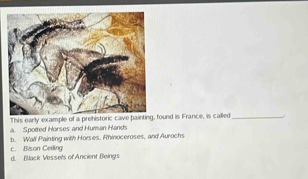 this early example of a prehistoric cave painting, found is france, is called \n a. spotted horses and human hands \n b. wall painting with horses, rhinoceroses, and aurochs \n c. bison ceiling \n d. black vessels of ancient beings