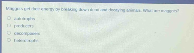 maggots get their energy by breaking down dead and decaying animals. what are maggots?\no autotrophs\no producers\no decomposers\no heterotrophs