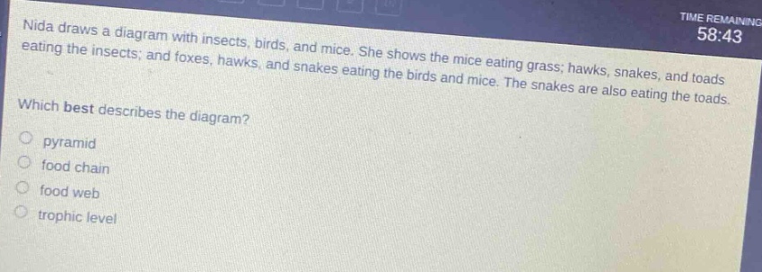 nida draws a diagram with insects, birds, and mice. she shows the mice eating grass; hawks, snakes, and toads eating the insects; and foxes, hawks, and snakes eating the birds and mice. the snakes are also eating the toads. which best describes the diagram? pyramid food chain food web trophic level