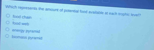 which represents the amount of potential food available at each trophic level?\nfood chain\nfood web\nenergy pyramid\nbiomass pyramid