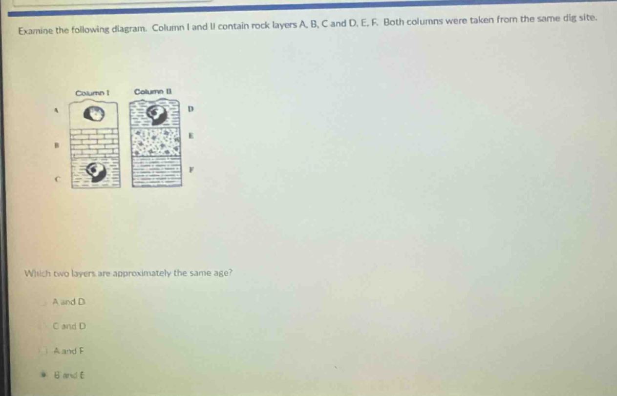 examine the following diagram. column i and ii contain rock layers a, b, c and d, e, f. both columns were taken from the same dig site. which two layers are approximately the same age? a and d c and d a and f b and e