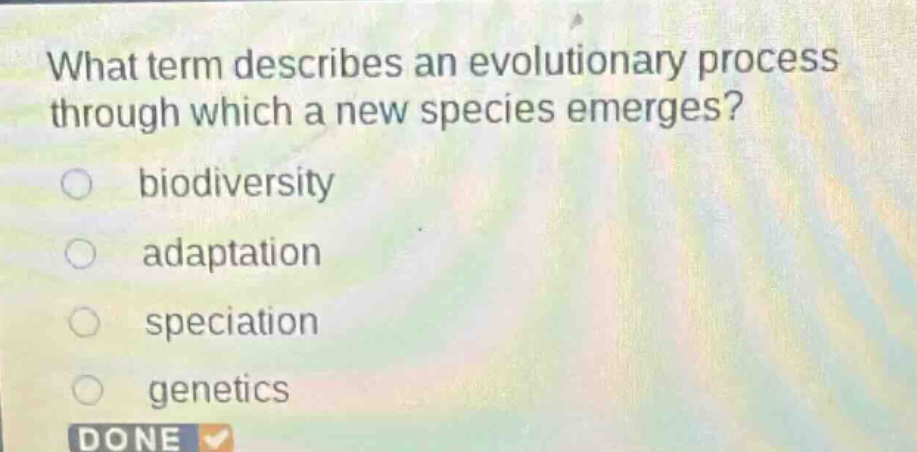 what term describes an evolutionary process through which a new species emerges?\nbiodiversity\nadaptation\nspeciation\ngenetics