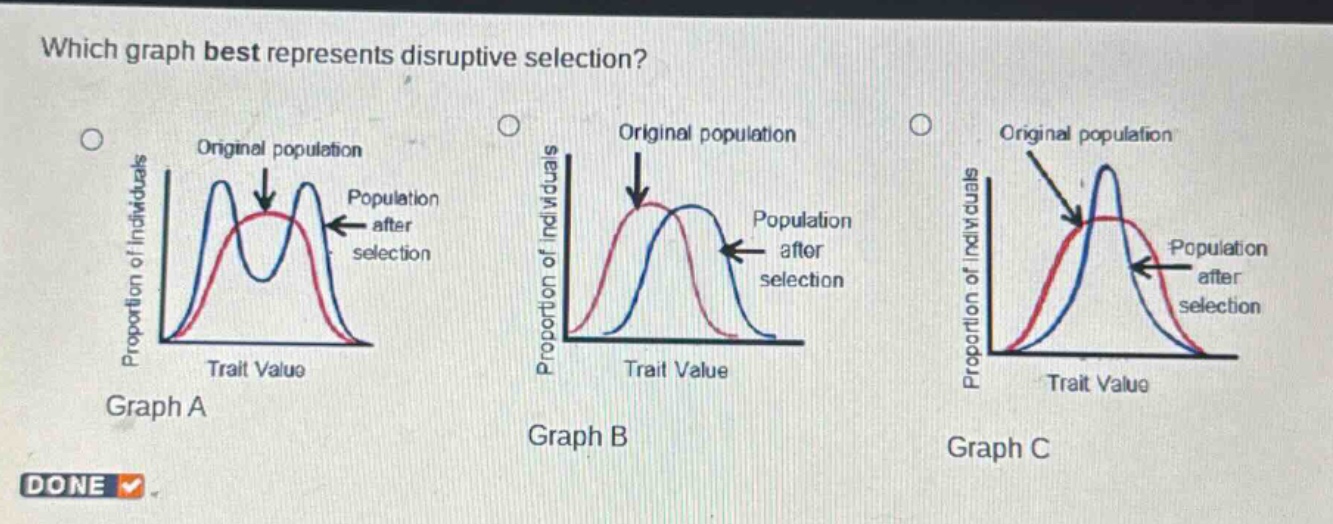 which graph best represents disruptive selection? graph a graph b graph c