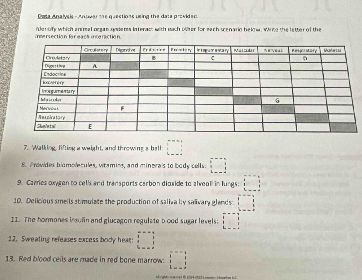 data analysis - answer the questions using the data provided. identify which animal organ systems interact with each other for each scenario below. write the letter of the intersection for each interaction. 7. walking, lifting a weight, and throwing a ball: 8. provides biomolecules, vitamins, and minerals to body cells: 9. carries oxygen to cells and transports carbon dioxide to alveoli in lungs: 10. delicious smells stimulate the production of saliva by salivary glands: 11. the hormones insulin and glucagon regulate blood sugar levels: 12. sweating releases excess body heat: 13. red blood cells are made in red bone marrow: