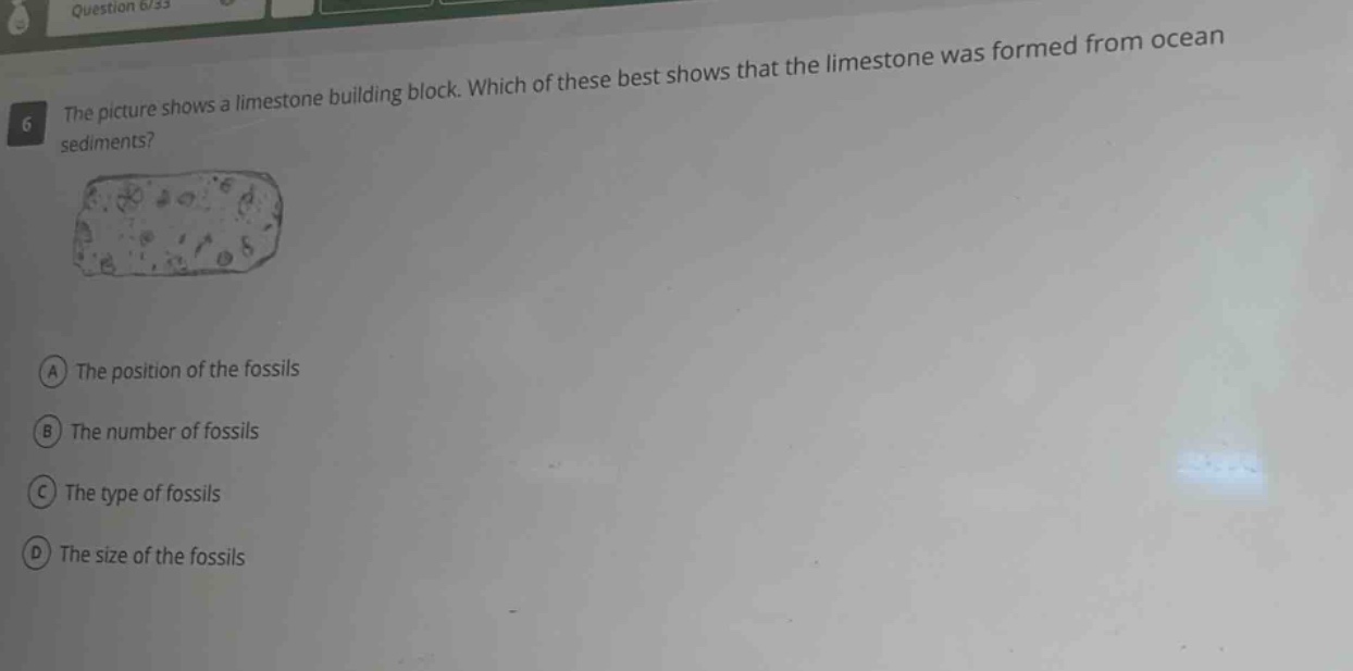 the picture shows a limestone building block. which of these best shows that the limestone was formed from ocean sediments? a the position of the fossils b the number of fossils c the type of fossils d the size of the fossils