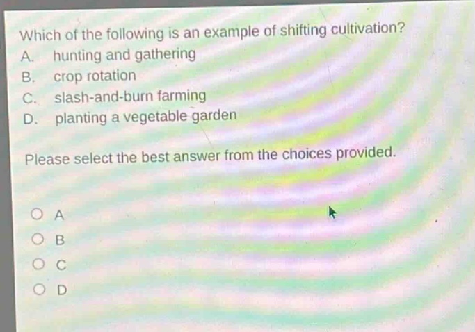 which of the following is an example of shifting cultivation? a. hunting and gathering b. crop rotation c. slash - and - burn farming d. planting a vegetable garden please select the best answer from the choices provided.