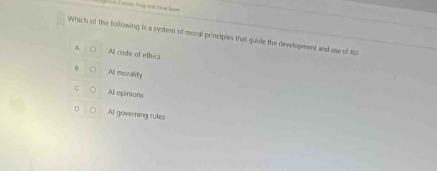 which of the following is a system of moral principles that guide the development and use of ai? a ai code of ethics b ai morality c ai opinions d ai governing rules