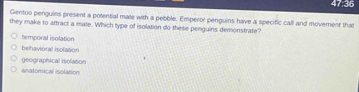 gentoo penguins present a potential mate with a pebble. emperor penguins have a specific call and movement that they make to attract a mate. which type of isolation do these penguins demonstrate?\ntemporal isolation\nbehavioral isolation\ngeographical isolation\nanatomical isolation