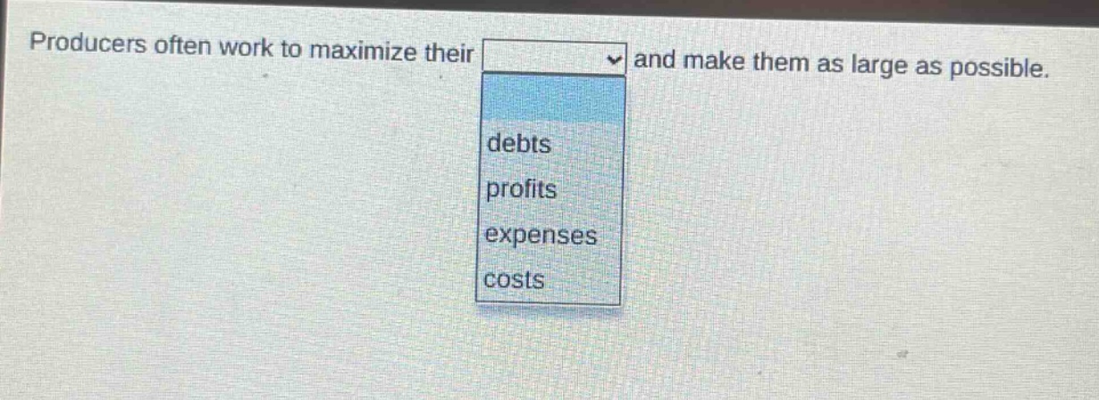 producers often work to maximize their and make them as large as possible. debts profits expenses costs