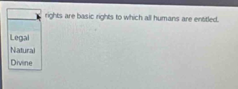 rights are basic rights to which all humans are entitled. legal natural divine