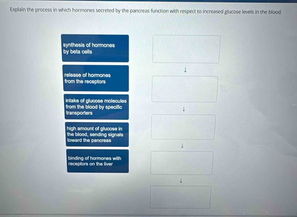 explain the process in which hormones secreted by the pancreas function with respect to increased glucose levels in the blood. synthesis of hormones by beta cells release of hormones from the receptors intake of glucose molecules from the blood by specific transporters high amount of glucose in the blood, sending signals toward the pancreas binding of hormones with receptors on the liver