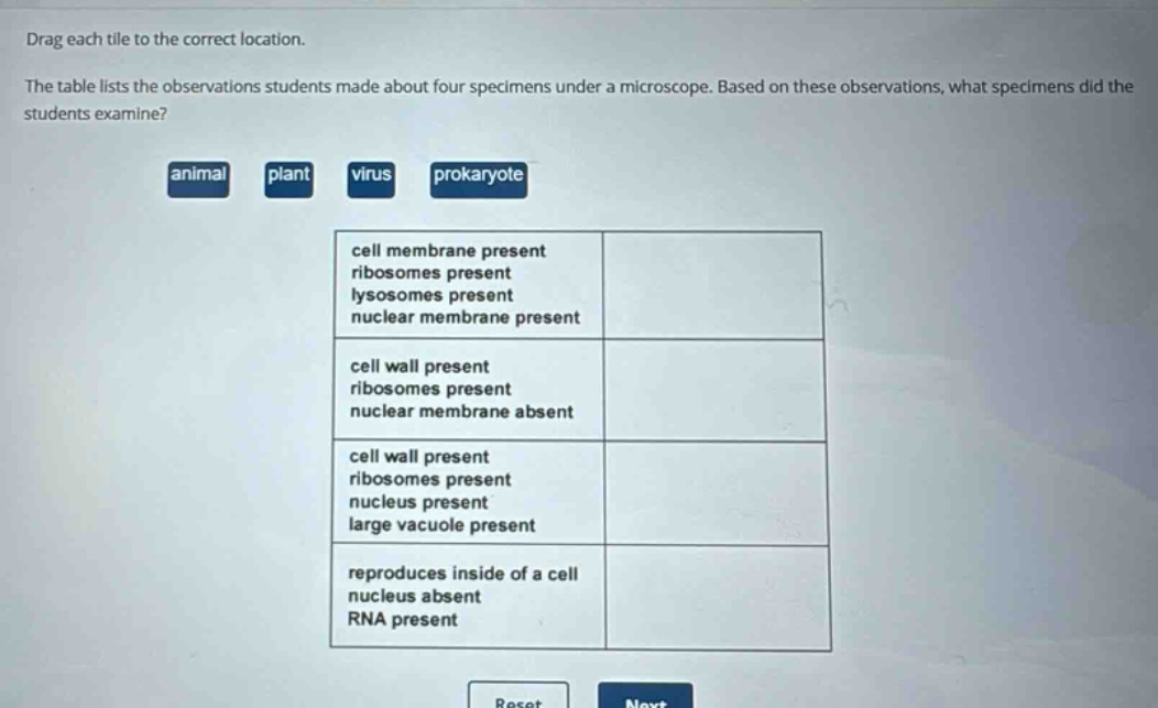 drag each tile to the correct location. the table lists the observations students made about four specimens under a microscope. based on these observations, what specimens did the students examine? animal plant virus prokaryote cell membrane present ribosomes present lysosomes present nuclear membrane present cell wall present ribosomes present nuclear membrane absent cell wall present ribosomes present nucleus present large vacuole present reproduces inside of a cell nucleus absent rna present