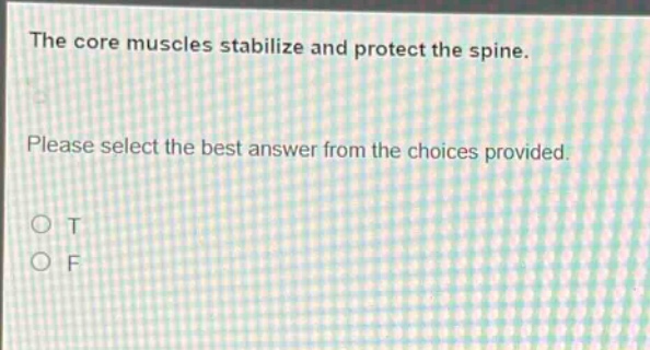 the core muscles stabilize and protect the spine. please select the best answer from the choices provided. o t o f