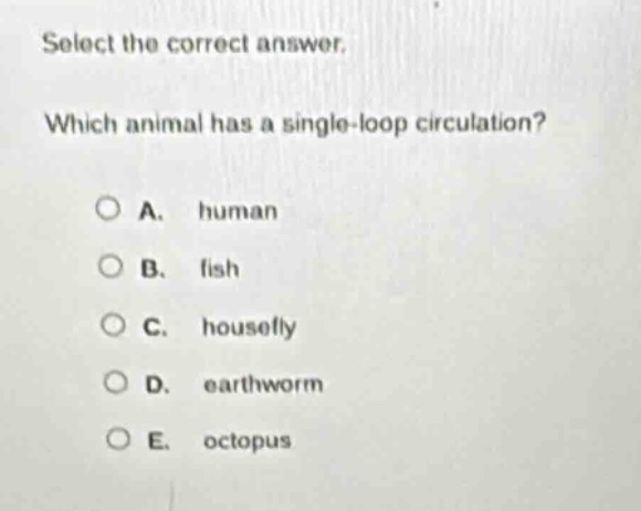 select the correct answer. which animal has a single - loop circulation? a. human b. fish c. housefly d. earthworm e. octopus