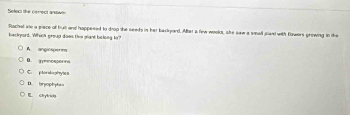 select the correct answer. rachel ate a piece of fruit and happened to drop the seeds in her backyard. after a few weeks, she saw a small plant with flowers growing in the backyard. which group does this plant belong to? a. angiosperms b. gymnosperms c. pteridophytes d. bryophytes e. chytrids