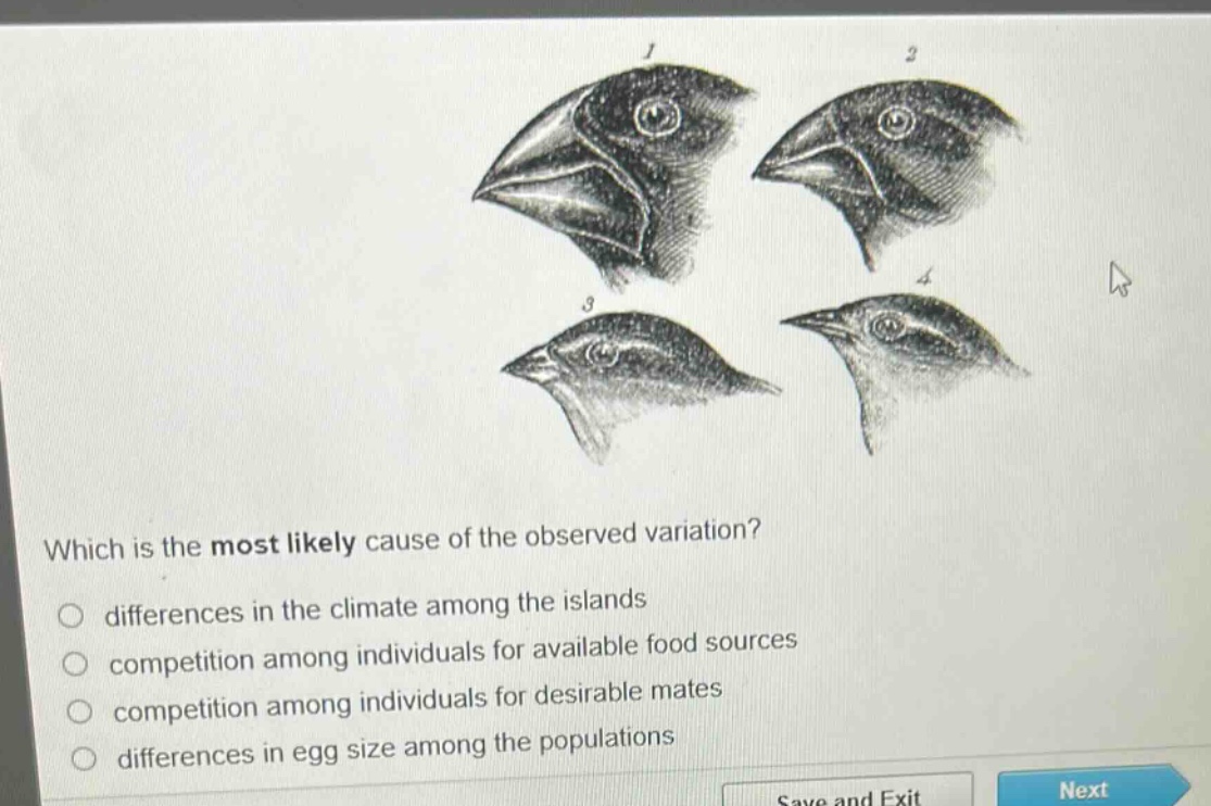 which is the most likely cause of the observed variation?\no differences in the climate among the islands\no competition among individuals for available food sources\no competition among individuals for desirable mates\no differences in egg size among the populations