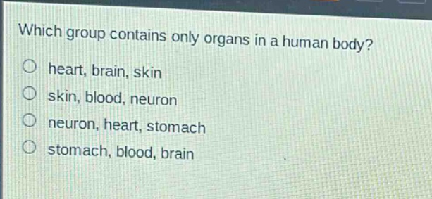 which group contains only organs in a human body?\no heart, brain, skin\no skin, blood, neuron\no neuron, heart, stomach\no stomach, blood, brain
