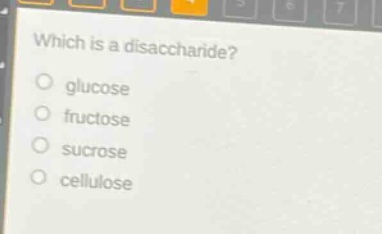 which is a disaccharide?\no glucose\no fructose\no sucrose\no cellulose