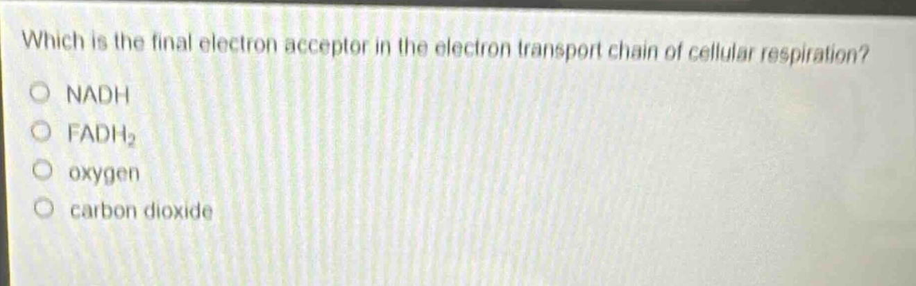 which is the final electron acceptor in the electron transport chain of cellular respiration?\nnadh\nfadh₂\noxygen\ncarbon dioxide