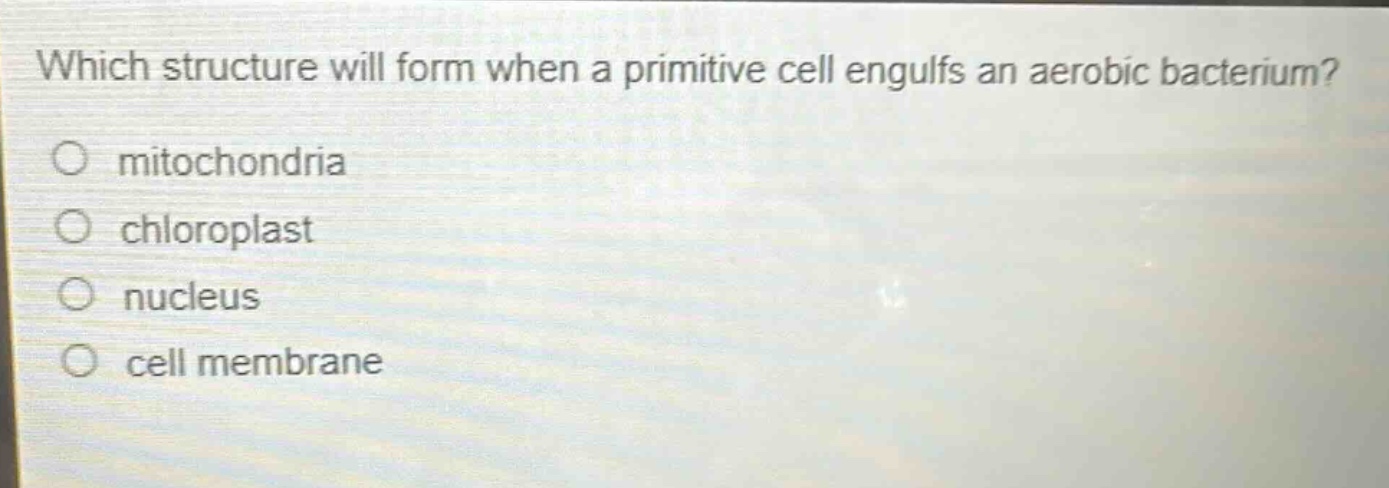 which structure will form when a primitive cell engulfs an aerobic bacterium?\nmitochondria\nchloroplast\nnucleus\ncell membrane