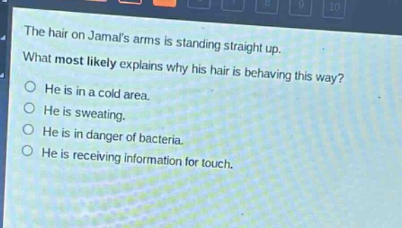 the hair on jamals arms is standing straight up. what most likely explains why his hair is behaving this way? he is in a cold area. he is sweating. he is in danger of bacteria. he is receiving information for touch.
