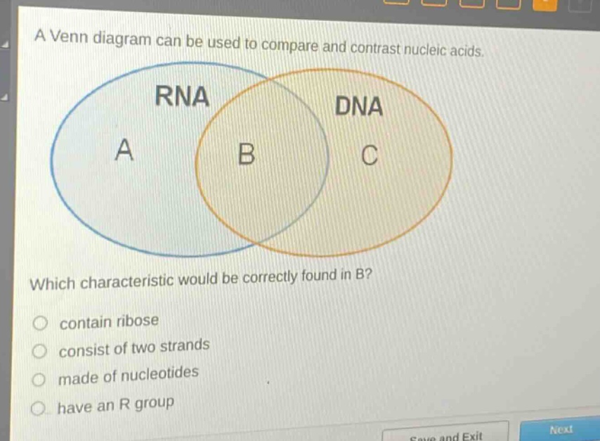 a venn diagram can be used to compare and contrast nucleic acids. which characteristic would be correctly found in b? contain ribose consist of two strands made of nucleotides have an r group