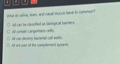 what do saliva, tears, and nasal mucus have in common?\nall can be classified as biological barriers.\nall contain langerhans cells.\nall can destroy bacterial cell walls.\nall are part of the complement system.