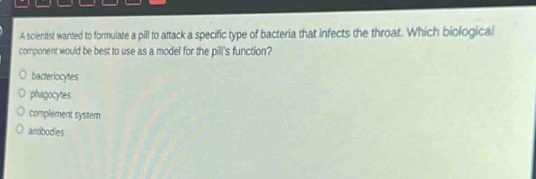 a scientist wanted to formulate a pill to attack a specific type of bacteria that infects the throat. which biological component would be best to use as a model for the pills function?\no bacteriocytes\no phagocytes\no complement system\no antibodies