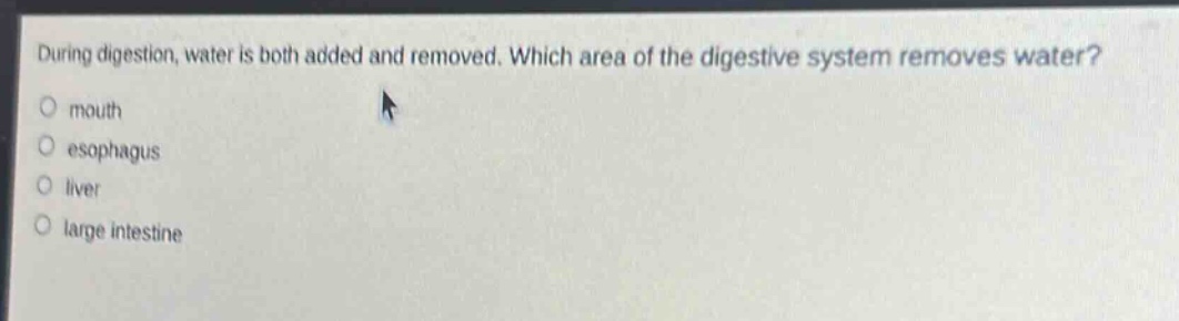 during digestion, water is both added and removed. which area of the digestive system removes water?\nmouth\nesophagus\nliver\nlarge intestine
