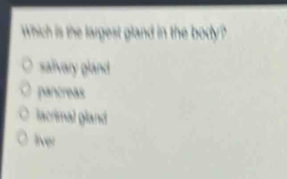 which is the largest gland in the body?\no salivary gland\no pancreas\no lacrimal gland\no liver