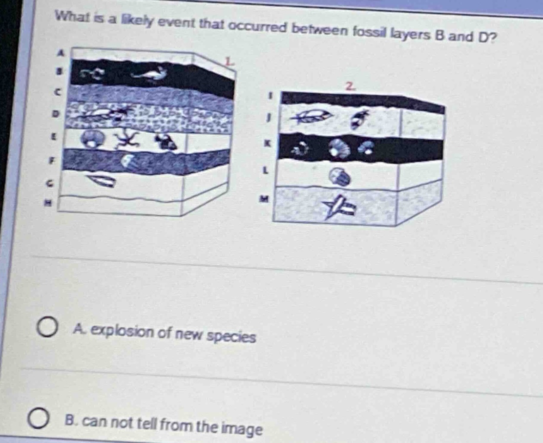 what is a likely event that occurred between fossil layers b and d? a. explosion of new species b. can not tell from the image