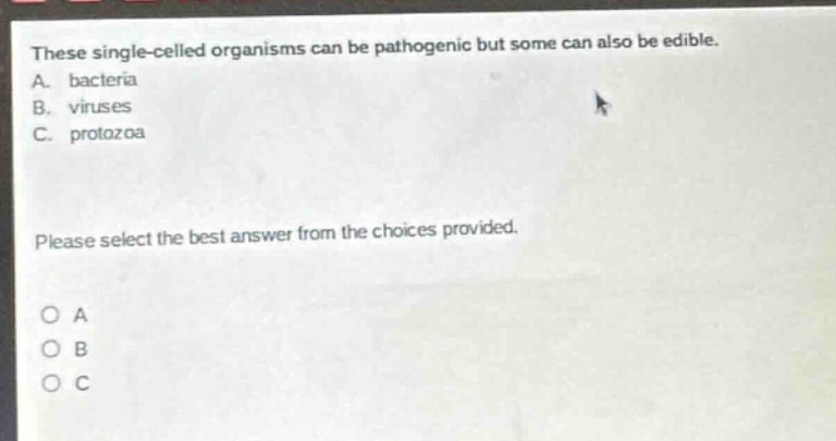 these single - celled organisms can be pathogenic but some can also be edible. a. bacteria b. viruses c. protozoa please select the best answer from the choices provided.