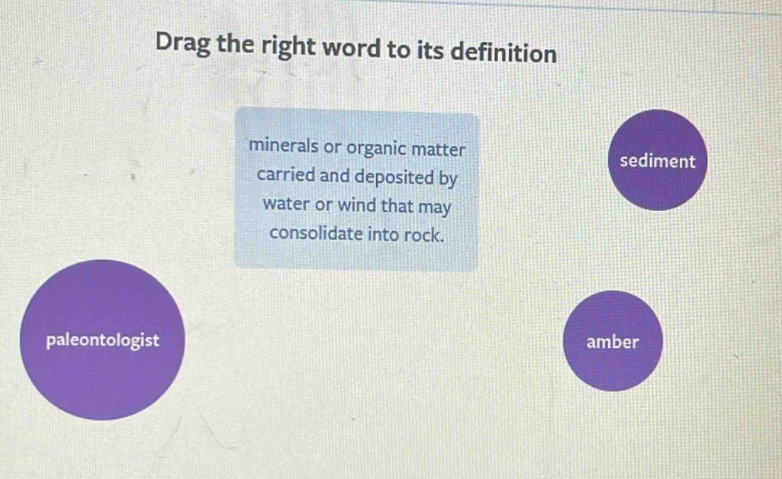 drag the right word to its definition minerals or organic matter carried and deposited by water or wind that may consolidate into rock. sediment paleontologist amber