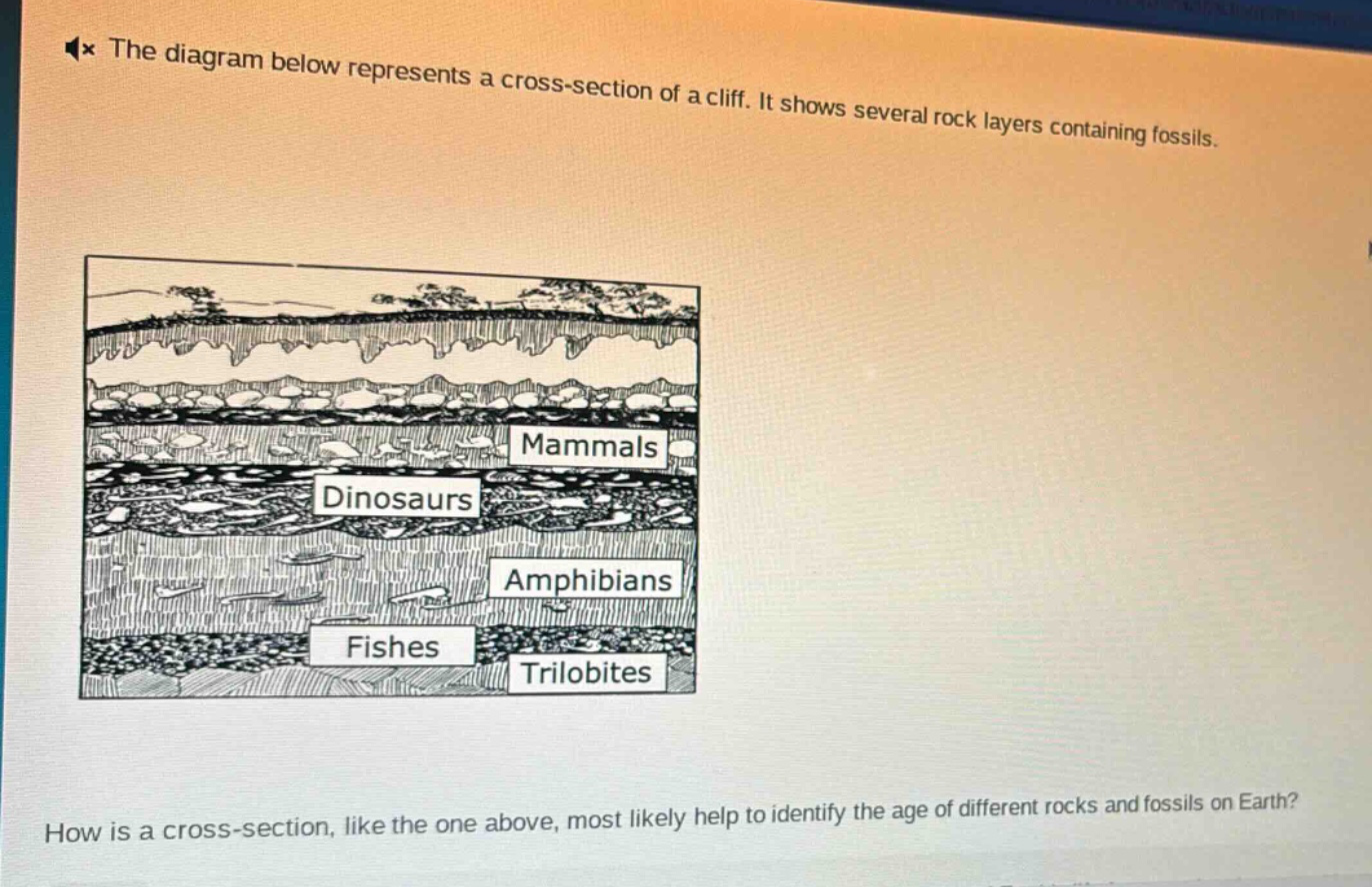 the diagram below represents a cross - section of a cliff. it shows several rock layers containing fossils. how is a cross - section, like the one above, most likely help to identify the age of different rocks and fossils on earth?