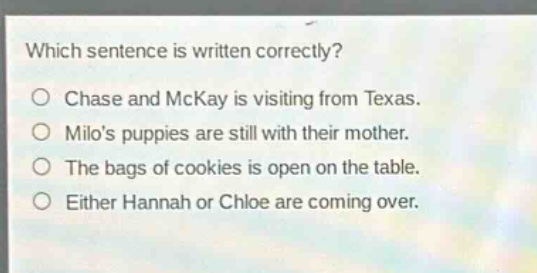 which sentence is written correctly?\no chase and mckay is visiting from texas.\no milos puppies are still with their mother.\no the bags of cookies is open on the table.\no either hannah or chloe are coming over.
