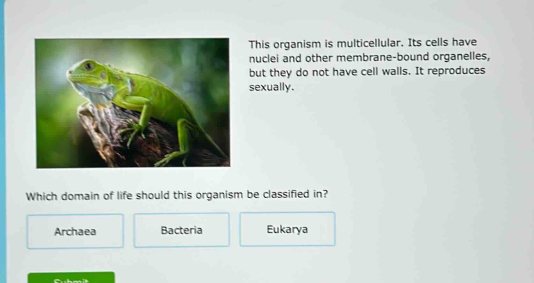 this organism is multicellular. its cells have nuclei and other membrane - bound organelles, but they do not have cell walls. it reproduces sexually. which domain of life should this organism be classified in? archaea bacteria eukarya