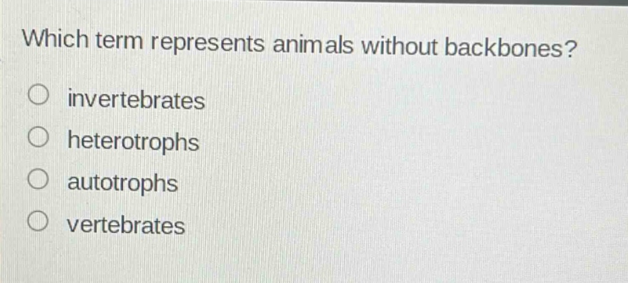 which term represents animals without backbones?\no invertebrates\no heterotrophs\no autotrophs\no vertebrates
