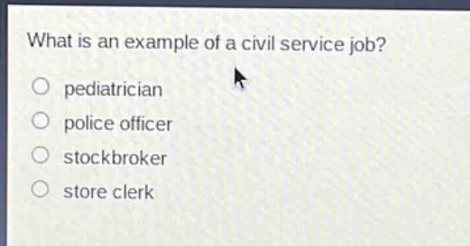 what is an example of a civil service job?\no pediatrician\no police officer\no stockbroker\no store clerk
