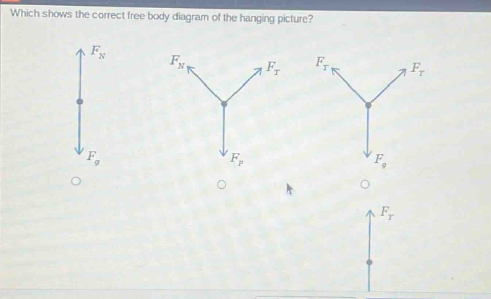 which shows the correct free body diagram of the hanging picture?
