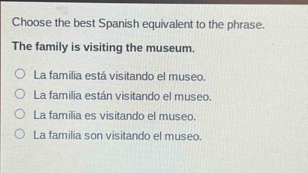 choose the best spanish equivalent to the phrase. the family is visiting the museum. la familia está visitando el museo. la familia están visitando el museo. la familia es visitando el museo. la familia son visitando el museo.