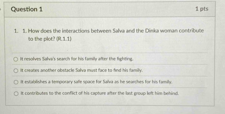 question 1 1 pts 1. 1. how does the interactions between salva and the dinka woman contribute to the plot? (r.1.1) it resolves salvas search for his family after the fighting. it creates another obstacle salva must face to find his family. it establishes a temporary safe space for salva as he searches for his family. it contributes to the conflict of his capture after the last group left him behind.