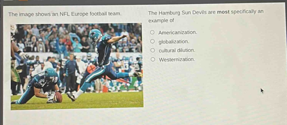 the image shows an nfl europe football team. the hamburg sun devils are most specifically an example of americanization. globalization. cultural dilution. westernization.