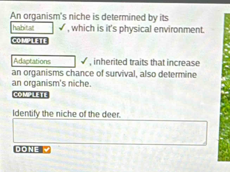 an organisms niche is determined by its habitat, which is its physical environment. complete adaptations, inherited traits that increase an organisms chance of survival, also determine an organisms niche. complete identify the niche of the deer. done