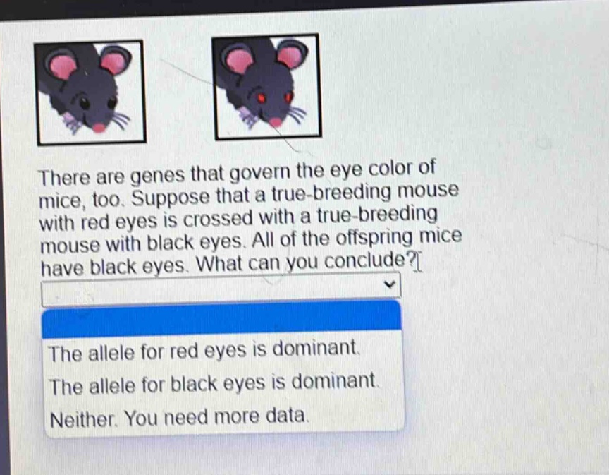 there are genes that govern the eye color of mice, too. suppose that a true - breeding mouse with red eyes is crossed with a true - breeding mouse with black eyes. all of the offspring mice have black eyes. what can you conclude? the allele for red eyes is dominant. the allele for black eyes is dominant. neither. you need more data.